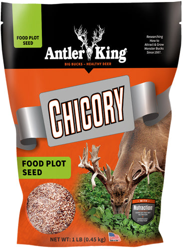Antler King Chicory Perennial 1# Bag Food Plot Seed