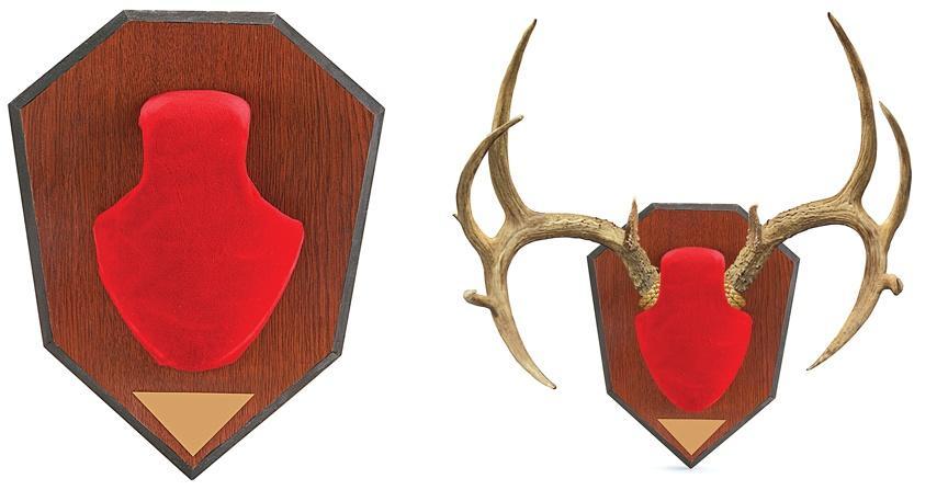 Allen Antler Mount Display Kit Red Skull Cover