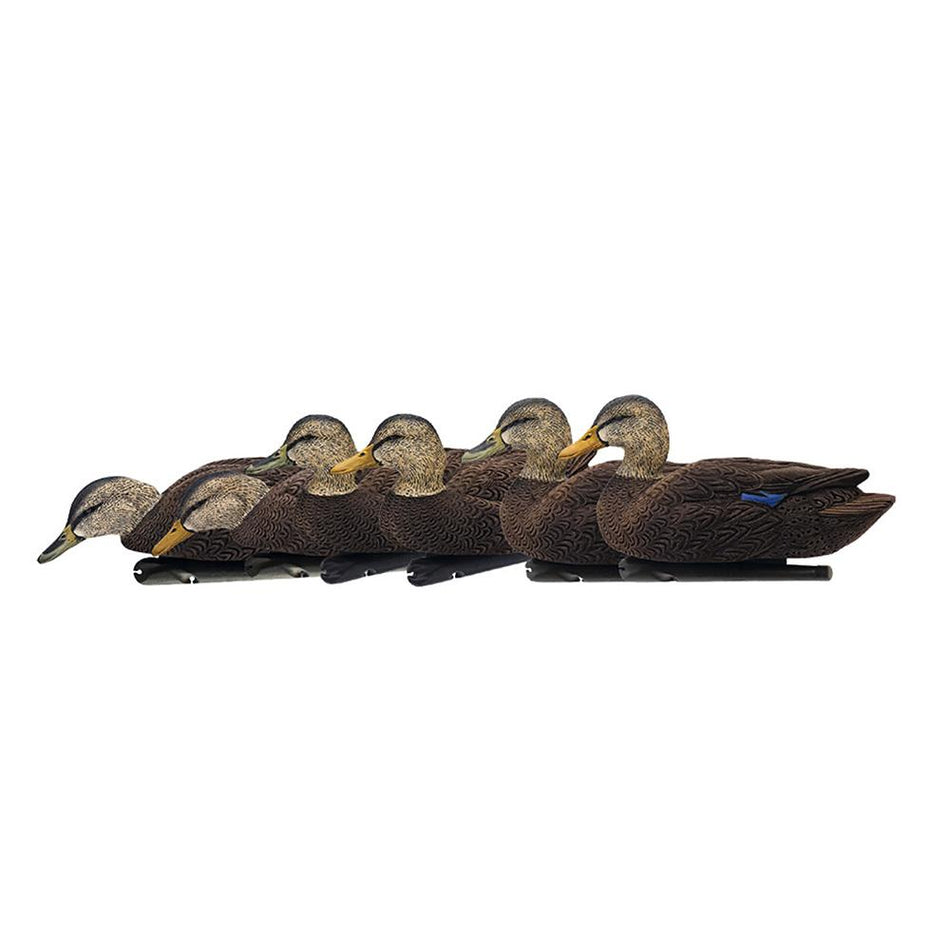 Avian-X Topflight Black Ducks Flocked Floating Decoys 6 Count