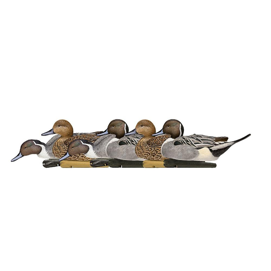 Avian-X Topflight Pintails Waterfowl Duck Decoys Set of 6 with Swim Keel