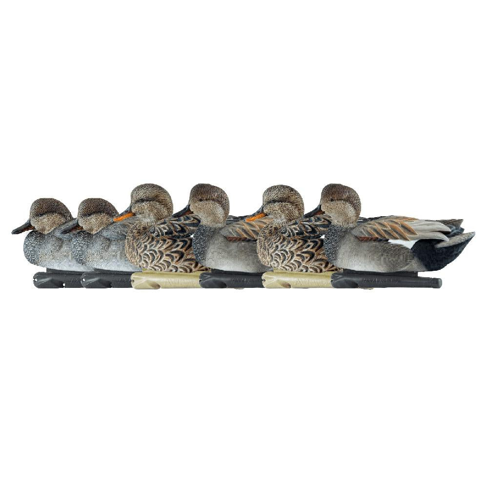 Avian-X Topflight Gadwall Gray Duck Decoys Set of 6