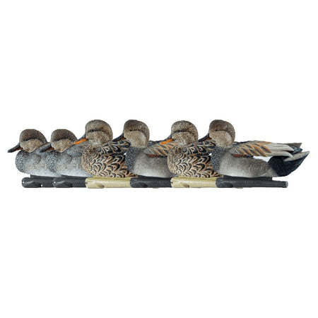 Avian-X Topflight Gadwall Gray Duck Decoys Set of 6