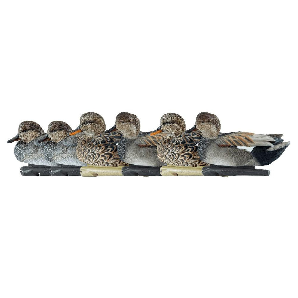 Avian-X Topflight Gadwall Gray Duck Decoys Set of 6