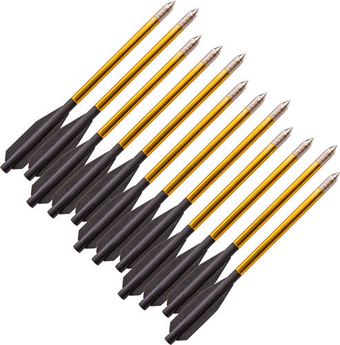Bear-X Crossbow Desire Bolts Pack of 12
