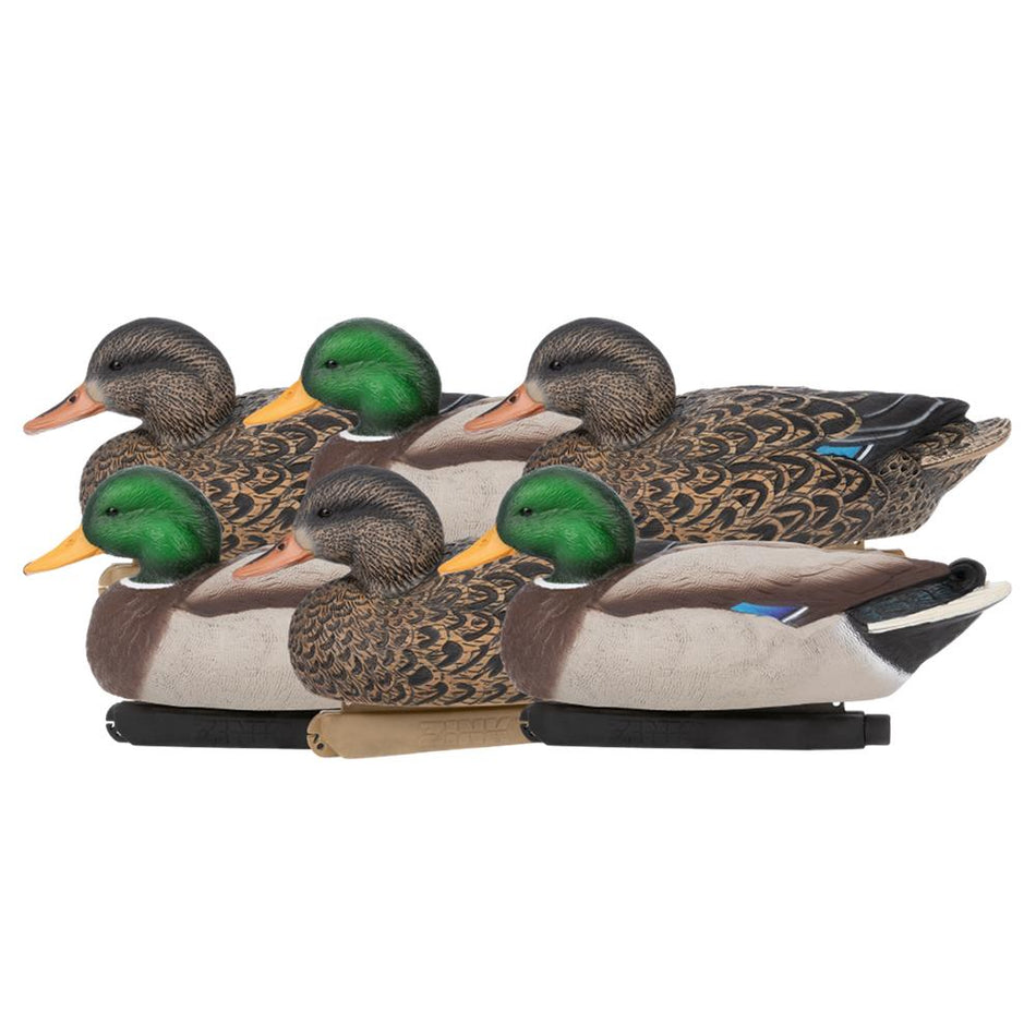 Zink Life-Size Mallard Floater Decoys 6 Count