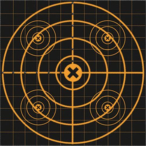 Birchwood Casey Big Burst Sight-In Revealing Targets 12 Inch 3 Pack