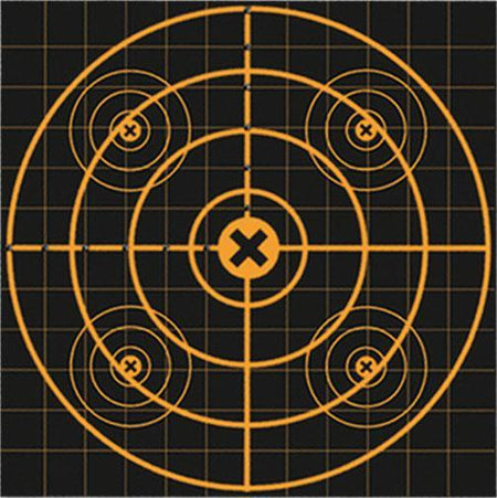 Birchwood Casey Big Burst Sight-In Revealing Targets 12 Inch 3 Pack