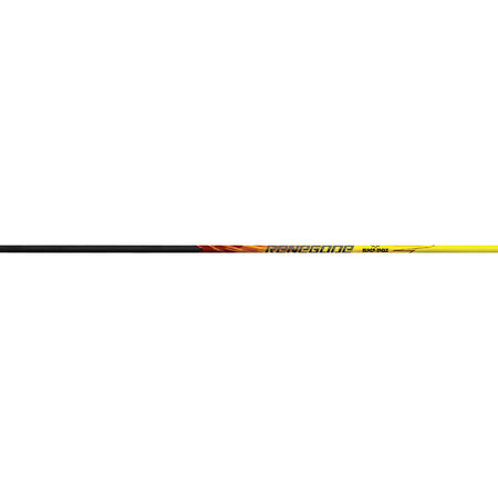 Black Eagle Renegade Shafts .005 Straightness 250 Spine 12 Pack