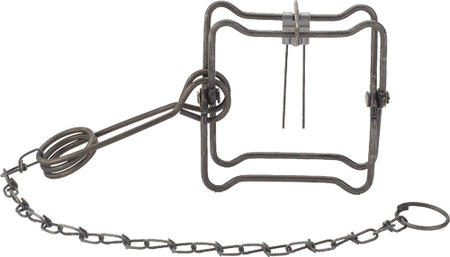 Duke #110 Body Trap Animal Trap 12-Pack