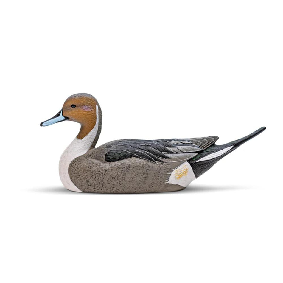 Rig'Em Right Mainline Pintail Decoy Set 6/ct