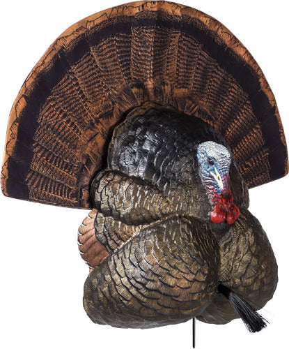 Flextone Thunder Creeper Strutting Turkey Decoy with Folding Fan Included