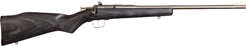 Chipmunk Rifle .22LR, Stainless/Black Laminate Stock