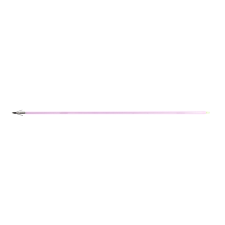 Muzzy Sabre Glow Bowfishing Arrow with Carp Point