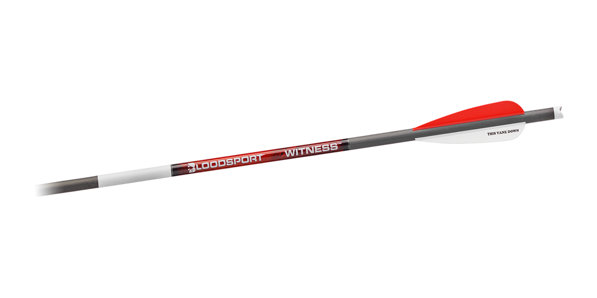 Bloodsport Witness 22" Crossbow Bolts 300 Spine Blood Ring Technology 6/pk