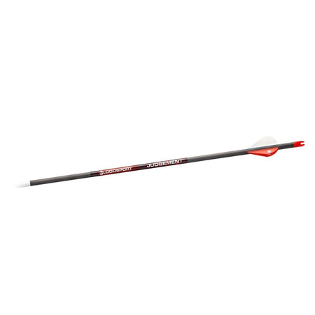 Bloodsport Judgement Arrow 350 Spine Pack of 6