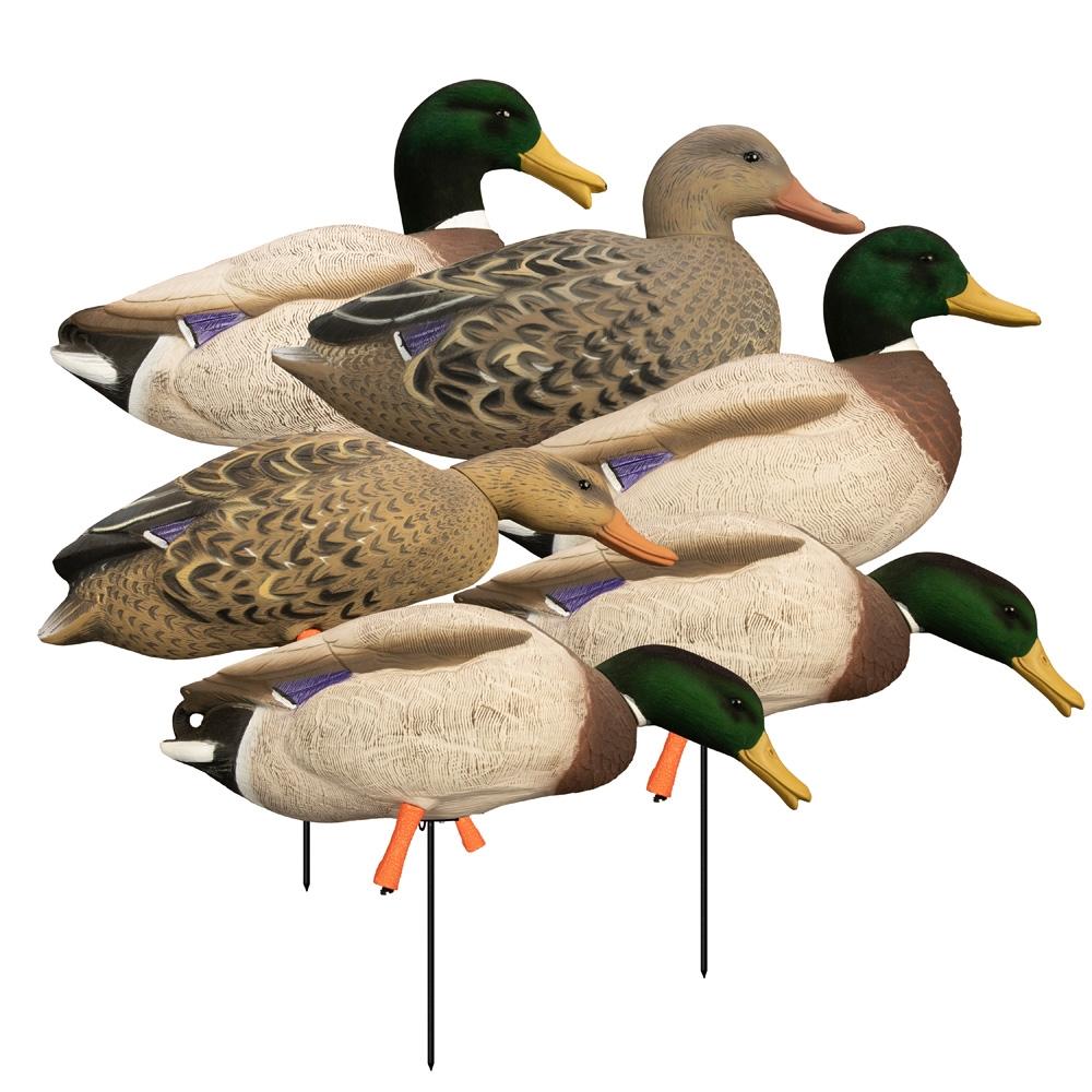 Higdon Outdoors Magnum Full Body Mallard Decoy Variety Pack with Flocked Heads 6pk