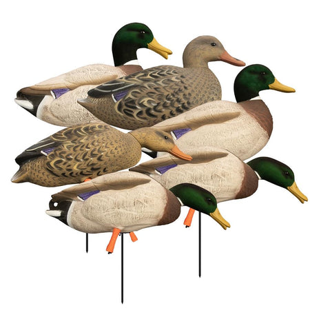 Higdon Outdoors Magnum Full Body Mallard Decoy Variety Pack with Flocked Heads 6pk