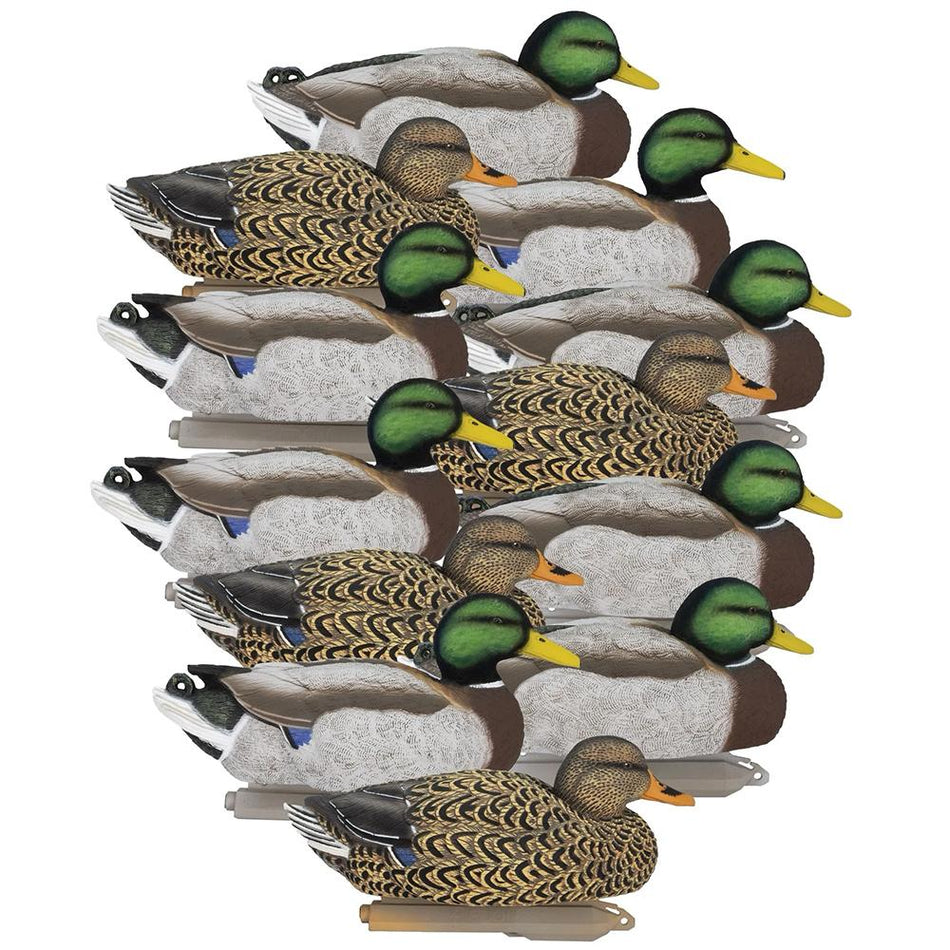 Higdon Legacy Magnum Mallard Duck Decoys with Painted Heads 6/ct