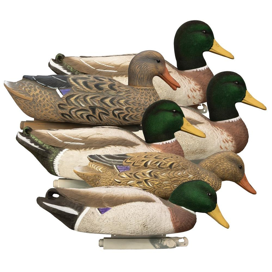 Higdon Magnum Mallard Foam-Filled Duck Decoys with Flocked Heads 6 Pack