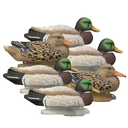 Higdon Standard Mallard Duck Decoy Filler Pack Regular 6/ct XHD