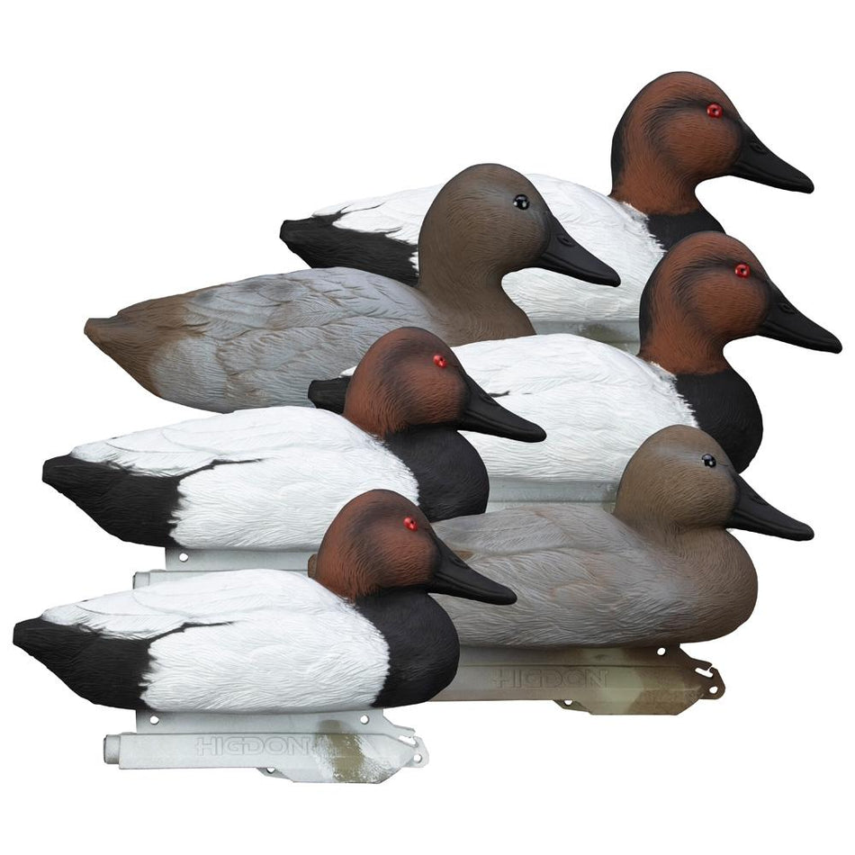 Higdon Outdoors Standard Canvasback Foam-Filled Waterfowl Decoy 6pk