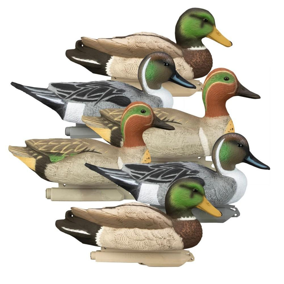 Higdon Standard Foam Late Season Puddle Duck Decoy Pack 6/ct Mallard Pintail GW Teal Drakes