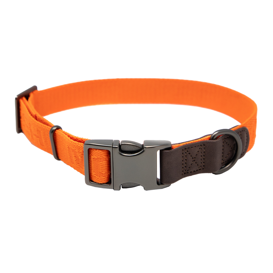 MoMarsh Hunter Orange Adjustable Dog Collar - 15 to 23 Inch Nylon