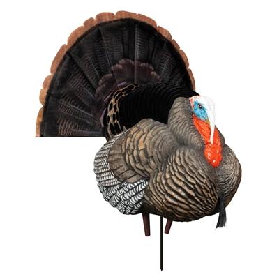 Higdon Apex Strutter Premium Hard Body Turkey Decoy with Synthetic Fan