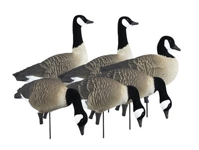 Higdon APEX Full-Body Canada Goose Decoy Set - Variety Pack