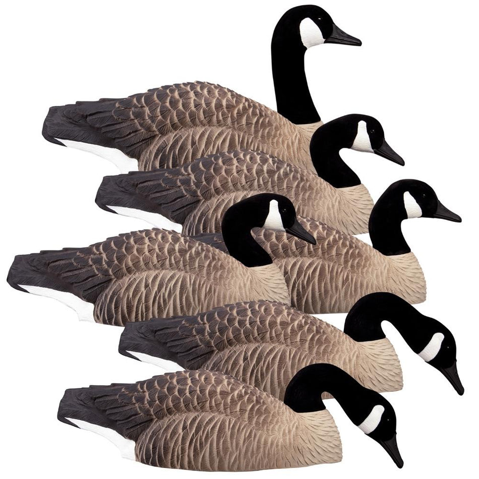 Higdon Magnum Half Shell Canada Goose Field Shell Decoys 6pk Flocked Head