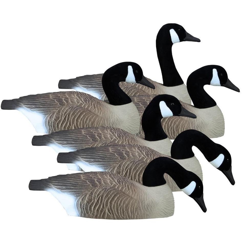 Higdon Full Size Half Shell Canada Goose Field Decoys 6 Pack