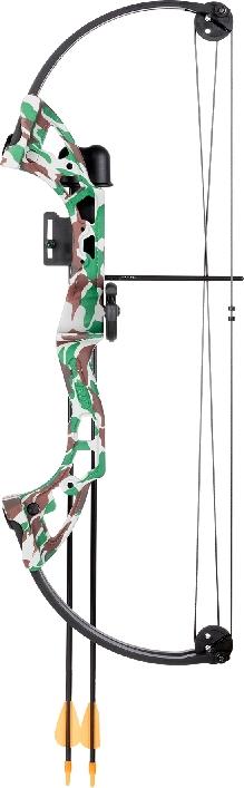 Bear Archery Brave RH Camo Youth Compound Bow Set