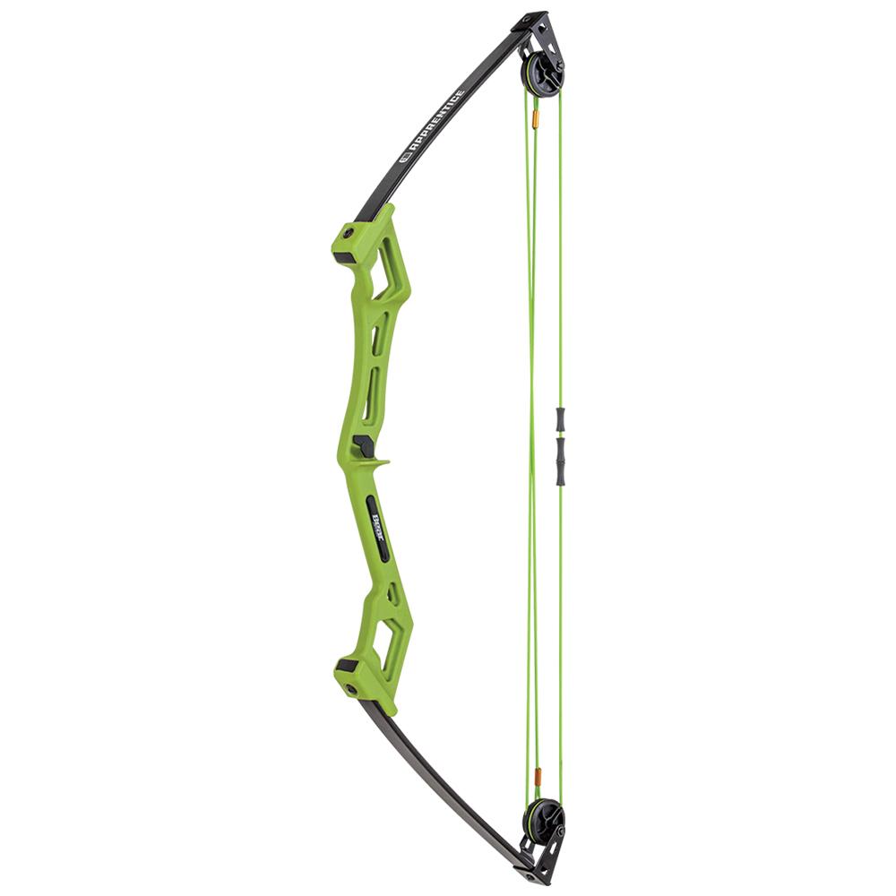 Bear Archery Youth Traditional Bow Apprentice Right Hand Green