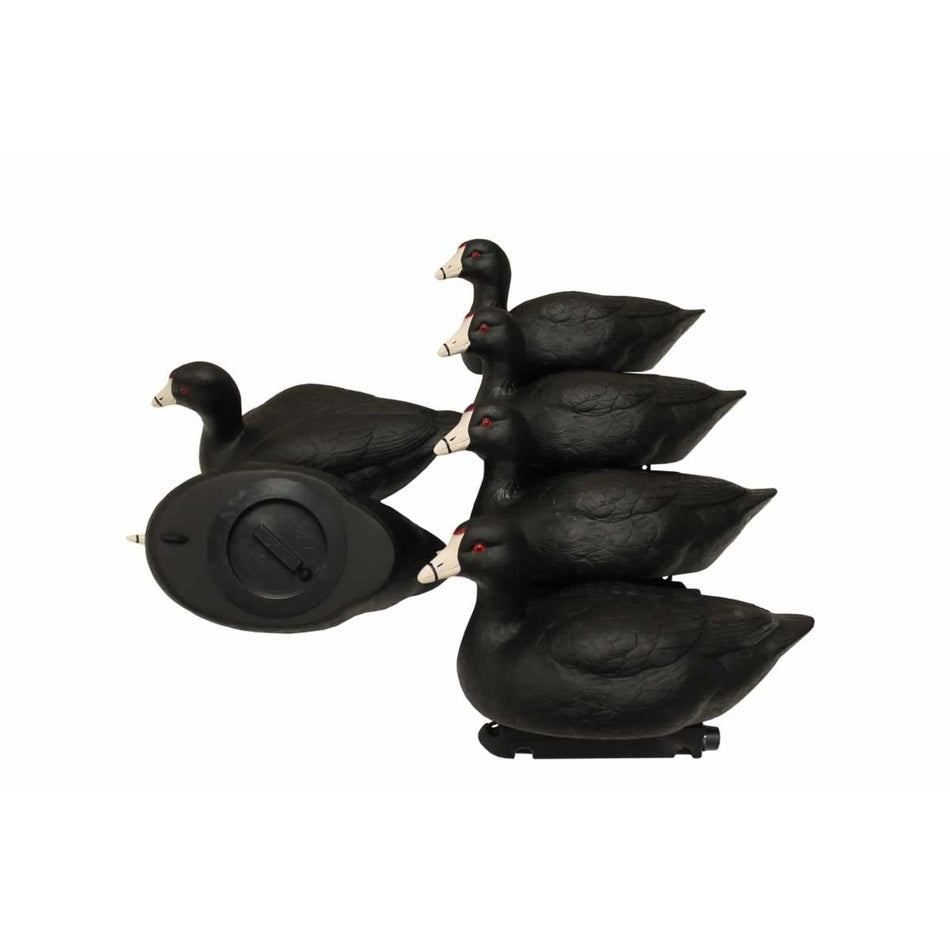 MOJO Coot Confidence Decoys 6-Pack with 2 Rippler and 4 Static Decoys