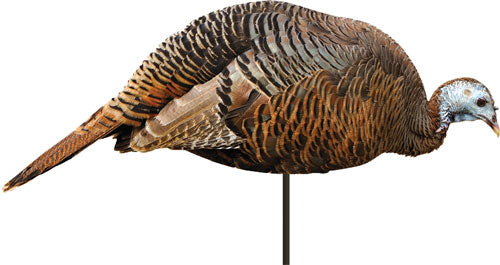 Montana Decoy Dinner Belle Turkey Hen Hunting Decoy