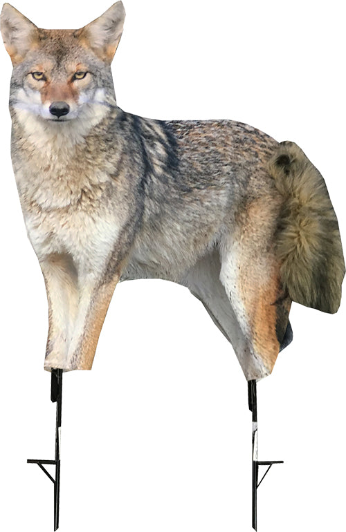 Montana Decoy Song Dog Coyote Hunting Decoy