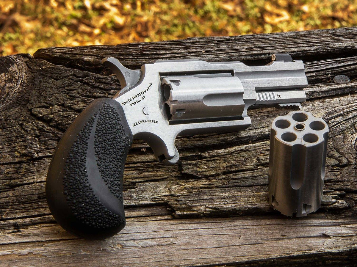 22M/22LR BUGOUT II SS XS SGHT# NAA-22MC-TB