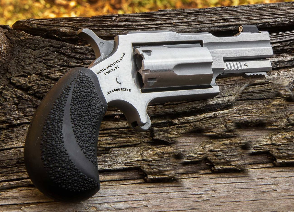 22MAG 2" BUGOUT II SS XS SGHT# NAA-22M-TB
