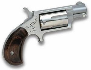 NAA Mini .22 Mag Revolver 1-1/8" Stainless with Ring Grip