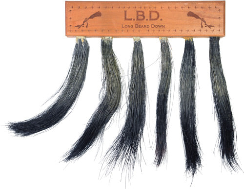 Pittman Long Beard Down Multi-Turkey Beard Display Mount
