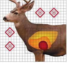 Pro-Shot Mule Deer Sight In Shooting Target 25" x 25" Pack of 5