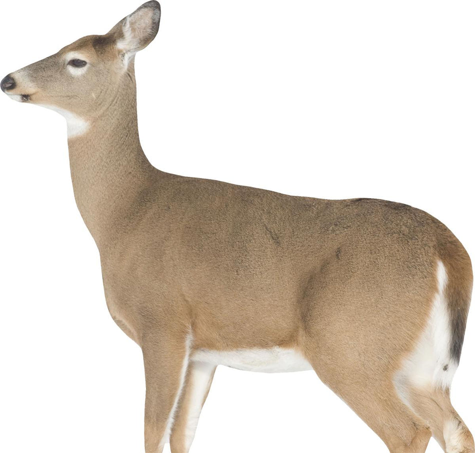 Montana Decoy Co Dreamy Doe Whitetail Decoy - Lightweight Foldable