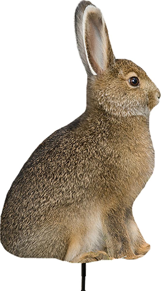 Montana Decoy Co Miss Hoptober Bunny Rabbit Coyote Decoy