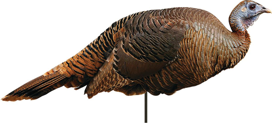 Montana Decoy Spring Fling Breeding Hen Turkey Decoy