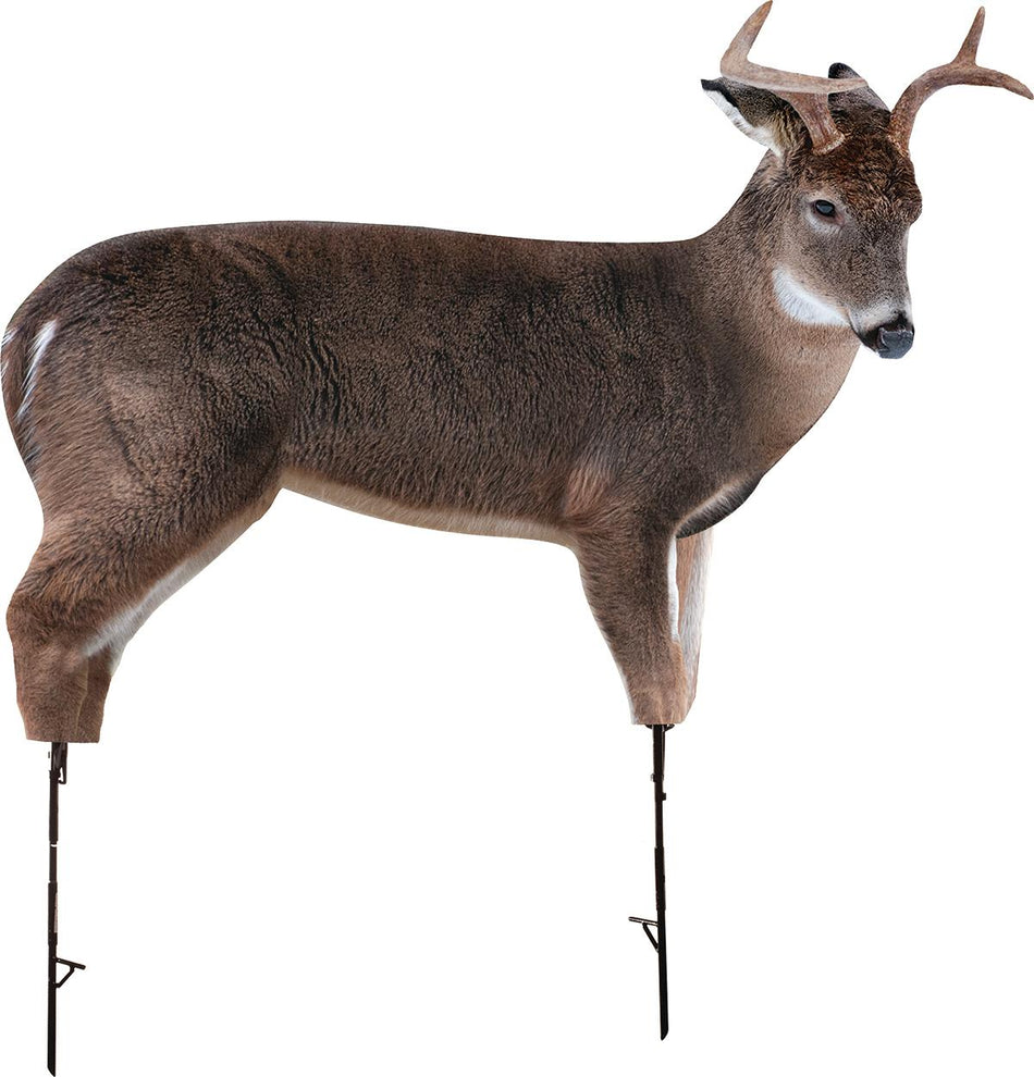 Montana Decoy The Freshman Aggressive Buck Hunting Decoy