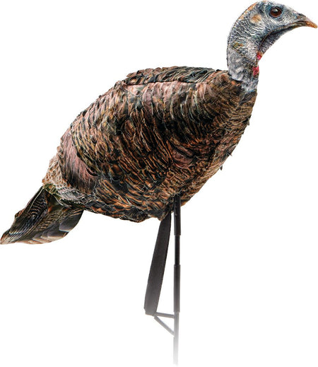 Montana Decoy Miss Purrfect XD Lightweight Turkey Hen Decoy