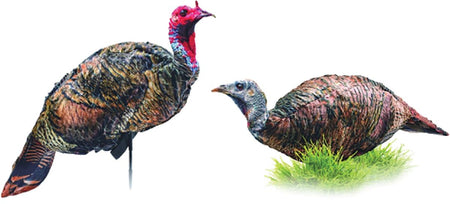 Montana DecoyCo PurrFect Pair XD Jake and Hen Turkey Combo