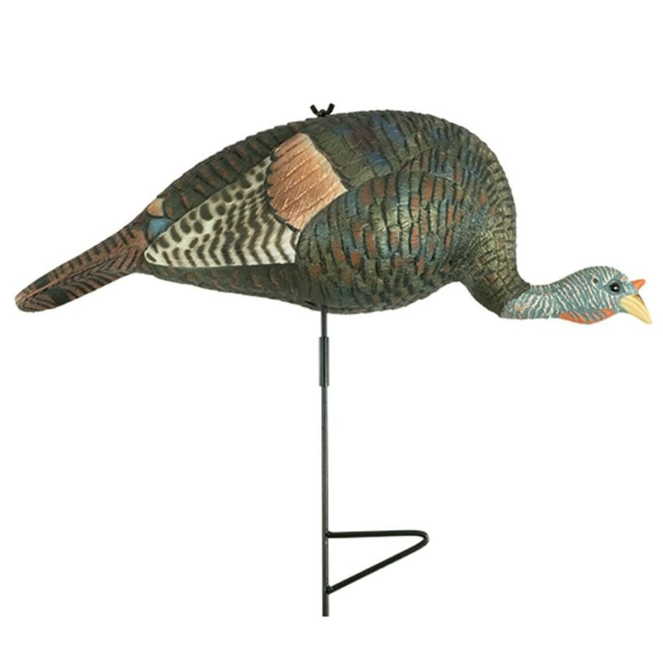 The Grind Bugging Hen Realistic Turkey Decoy - EVA Material