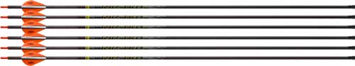 Victory Archery RIP TKO Elite Fletched Arrow 6pk Spine 400