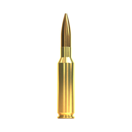 Sellier and Bellot 6.5mm Creedmoor Rifle Ammo Rifle Hollow Point Boat Tail BTHP 142 grain 